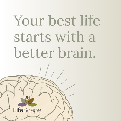 2-Dec-16-2025-05-51-07-0619-PM 2-Dec-16-2025-05-51-07-0619-PM