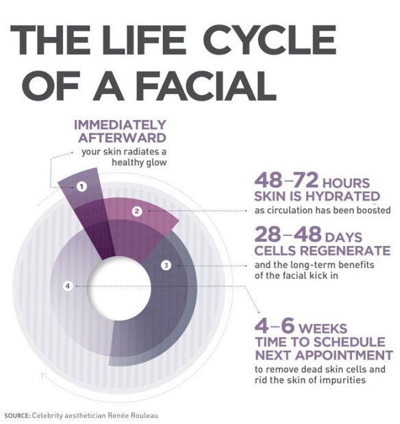 lifecycle of a facial