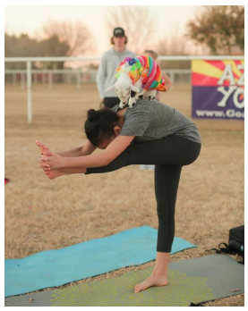 az goat yoga mothers day activities