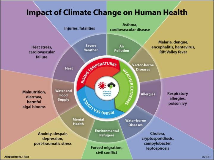 An infographic describing the health impact of climate change. This includes heat, severe weather, air pollution, vector-borne diseases, allergies, water-borne diseases, environmental refugees, mental health, and effects on water and food supplies.