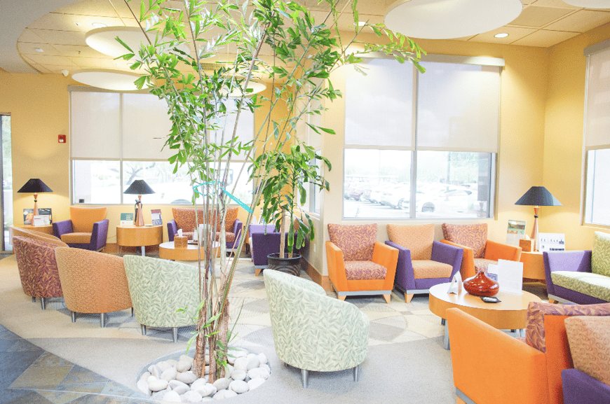 This image shows Lifescape's waiting room. The room is filled with sun, with a tall and leafy indoor plant in the left foreground. The waiting room chairs are a variety of brilliant colors including orange, purple, and yellow.