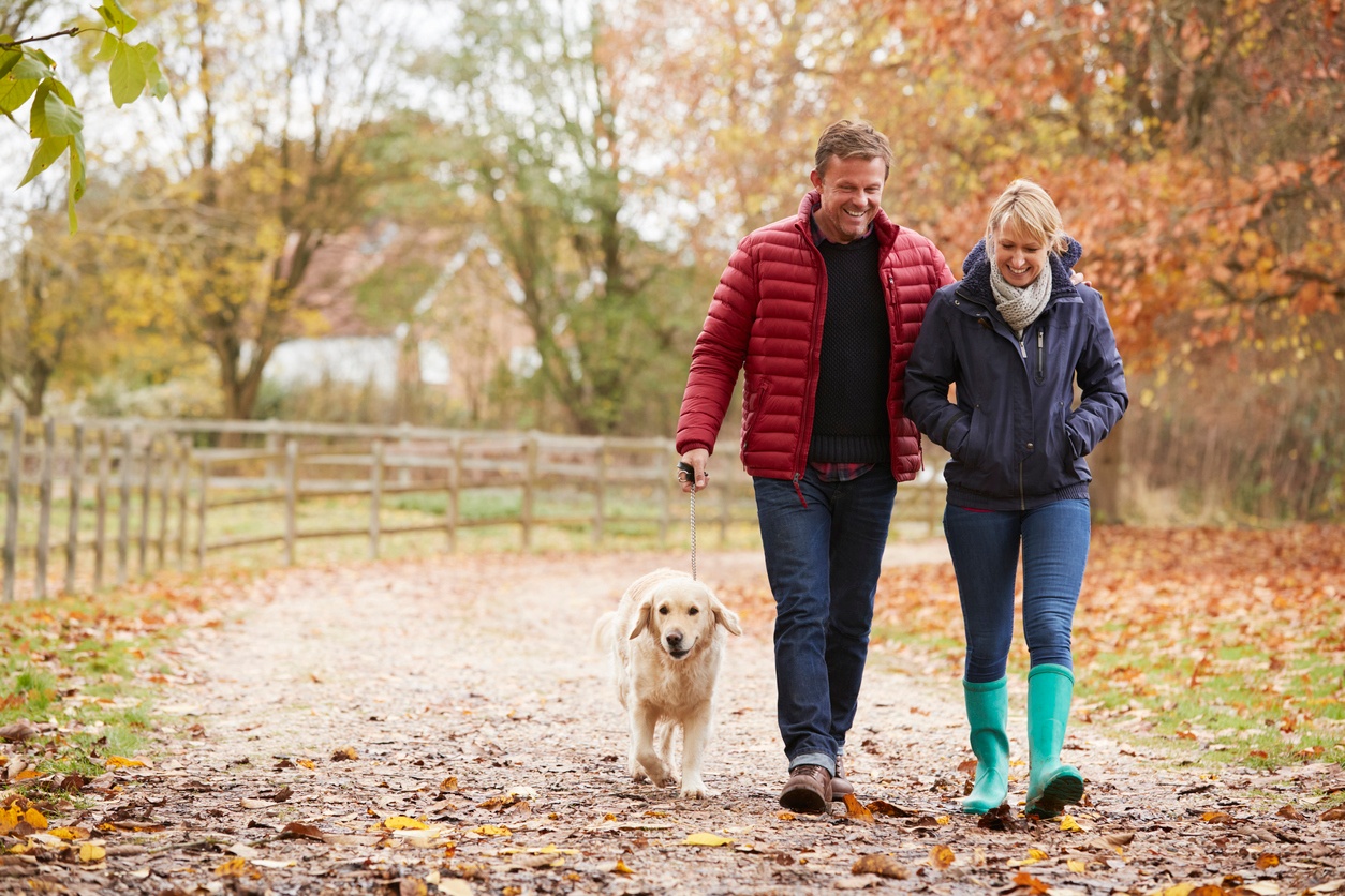 Ways to Stay Active During the Holidays