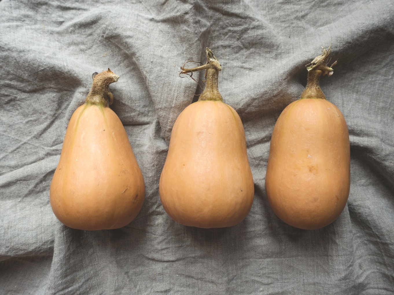 butternut squash soup